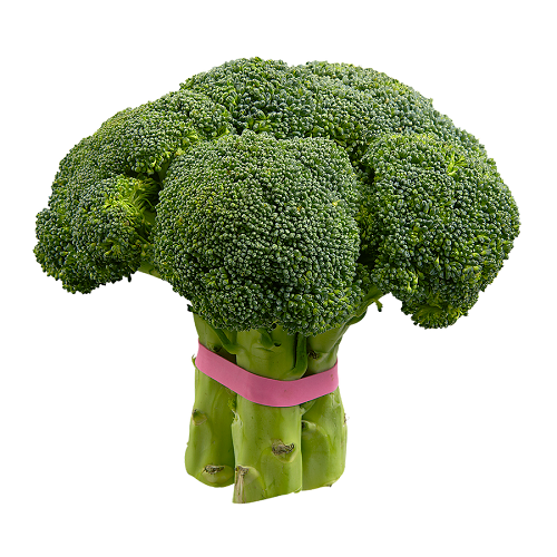 Brocolli