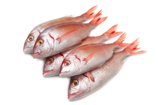 Poissons Mabundu